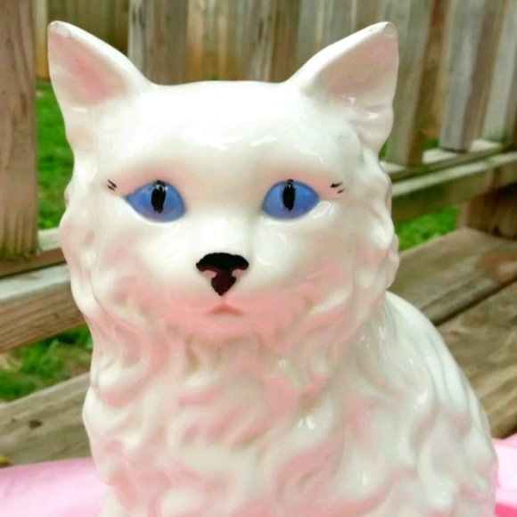 Unimpressed Feline